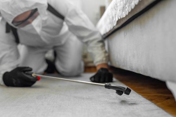 Professional Fumigation Services technician working in Dayton, NJ