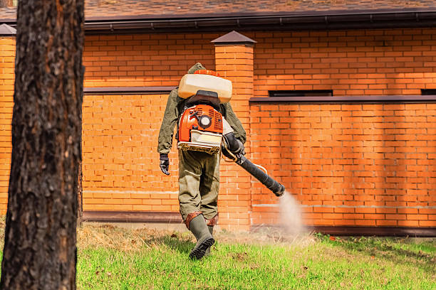 Trusted Rodent Control service in Dayton, NJ - Nex Pest Control